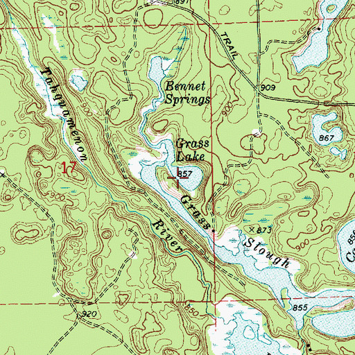 Topographic Map of Grass Lake, MI