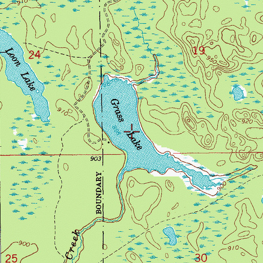 Topographic Map of Grass Lake, MI