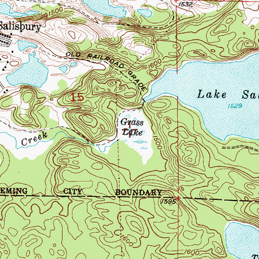 Topographic Map of Grass Lake, MI
