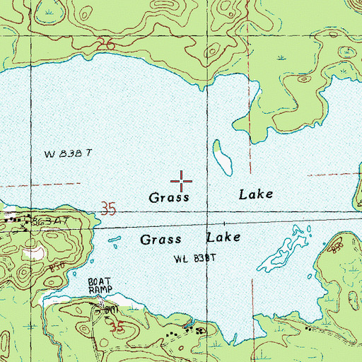 Topographic Map of Grass Lake, MI