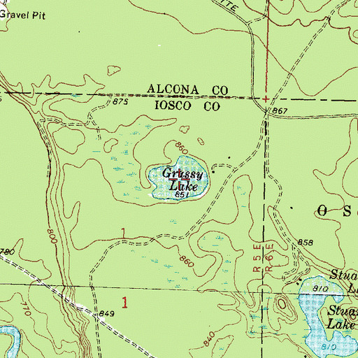 Topographic Map of Grassy Lake, MI