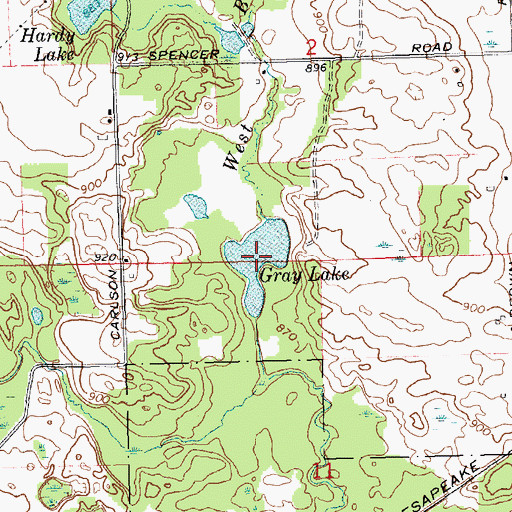 Topographic Map of Gray Lake, MI