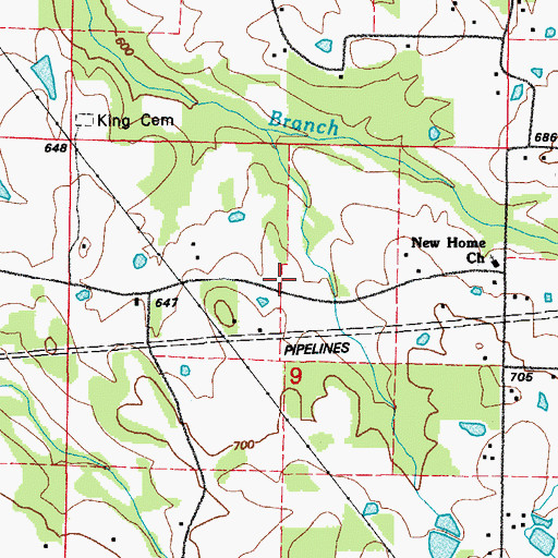 Topographic Map of Bearden-Fowler Store (historical), AR
