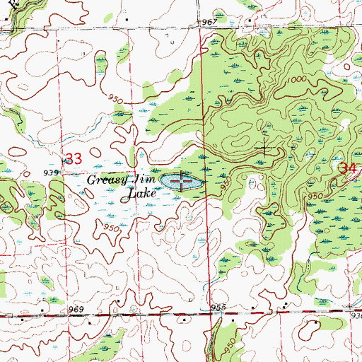 Topographic Map of Greasy Jim Lake, MI