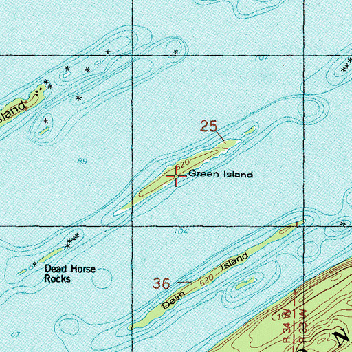 Topographic Map of Green Island, MI
