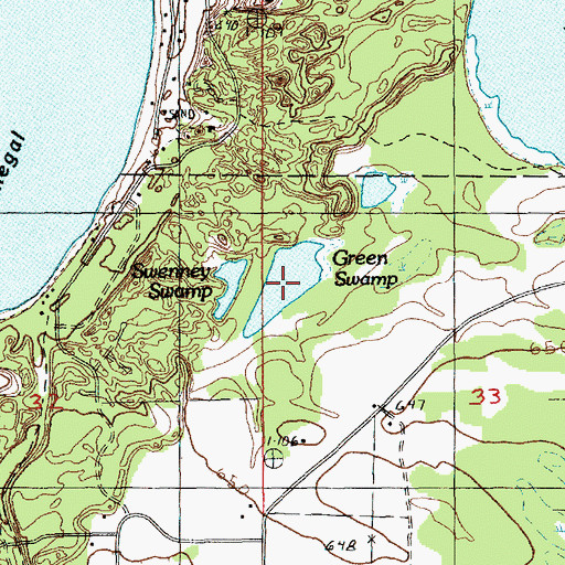 Topographic Map of Green Swamp, MI