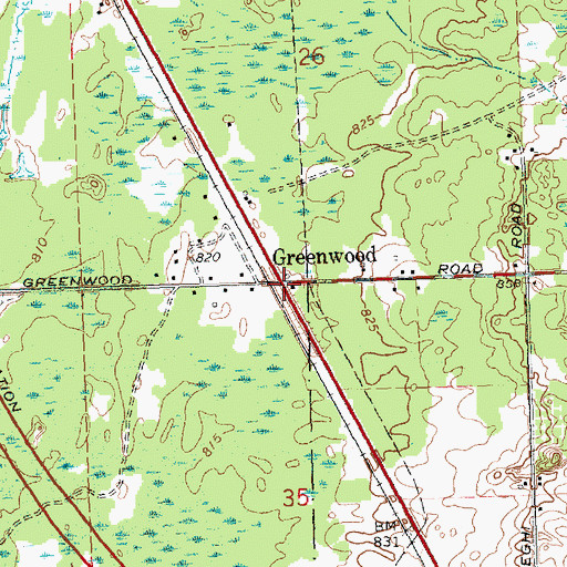 Topographic Map of Greenwood, MI