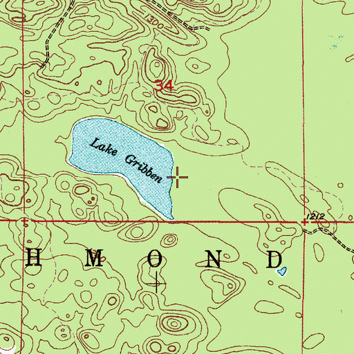 Topographic Map of Lake Gribben, MI