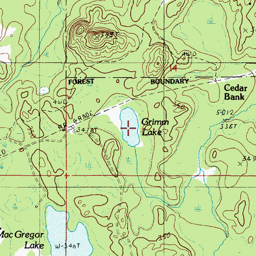 Topographic Map of Grimm Lake, MI