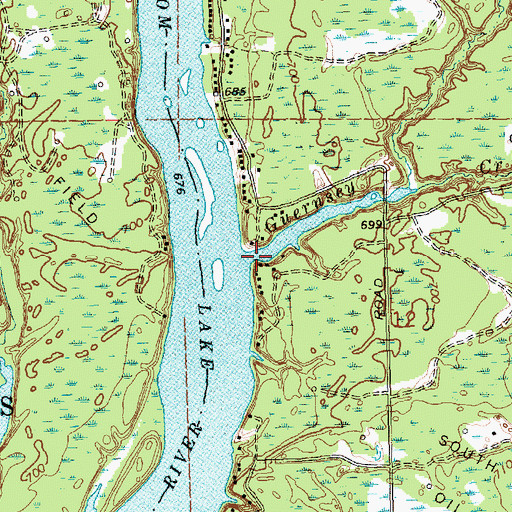 Topographic Map of Guernsey Creek, MI