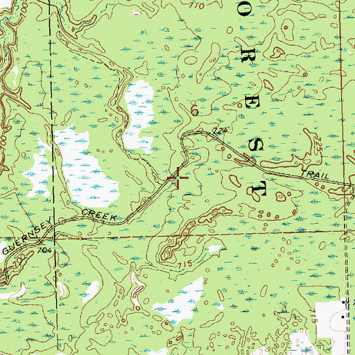 Topographic Map of Guernsey Creek Trail, MI