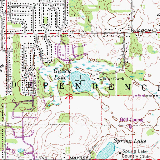 Topographic Map of Gulick Lake, MI