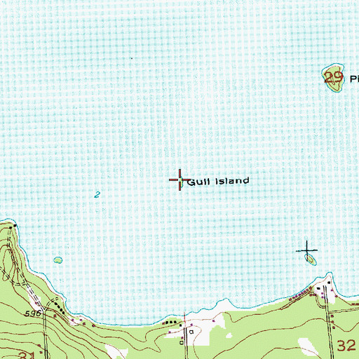 Topographic Map of Gull Island, MI