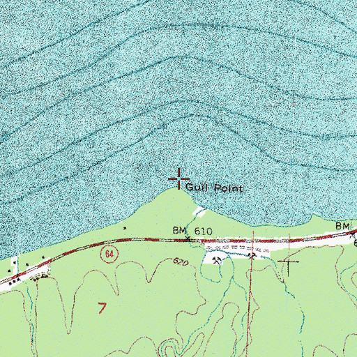 Topographic Map of Gull Point, MI