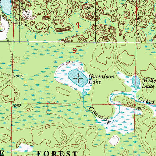 Topographic Map of Gustafson Lake, MI