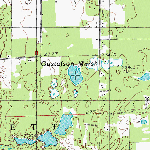 Topographic Map of Gustafson Marsh, MI