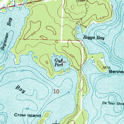 Topographic Map of Gut Port, MI