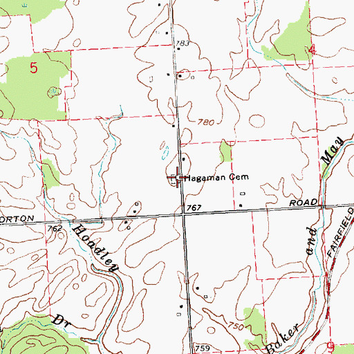 Topographic Map of Hagaman Cemetery, MI