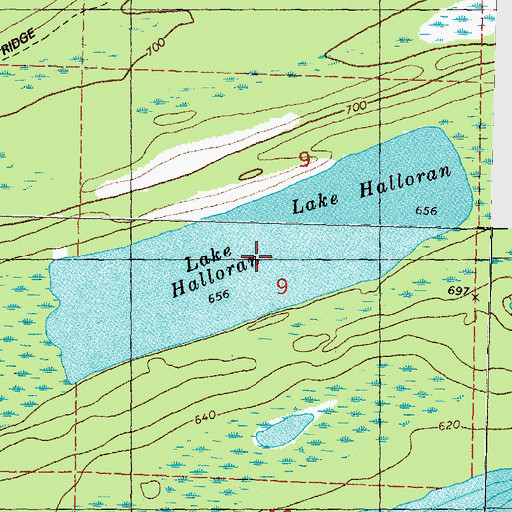 Topographic Map of Lake Halloran, MI