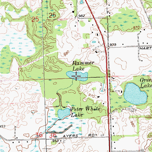Topographic Map of Hammer Lake, MI