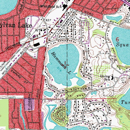 Topographic Map of Hammond Lake, MI