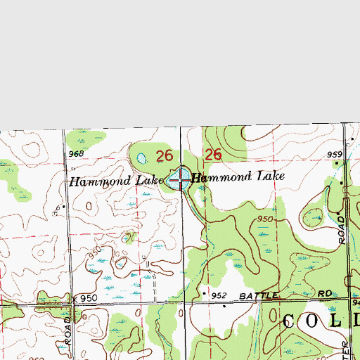 Topographic Map of Hammond Lake, MI