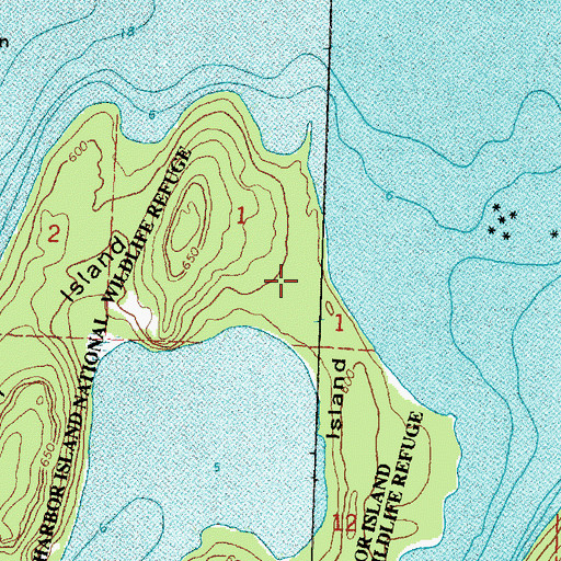Topographic Map of Harbor Island, MI