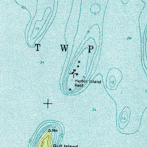 Topographic Map of Harbor Island Reef, MI