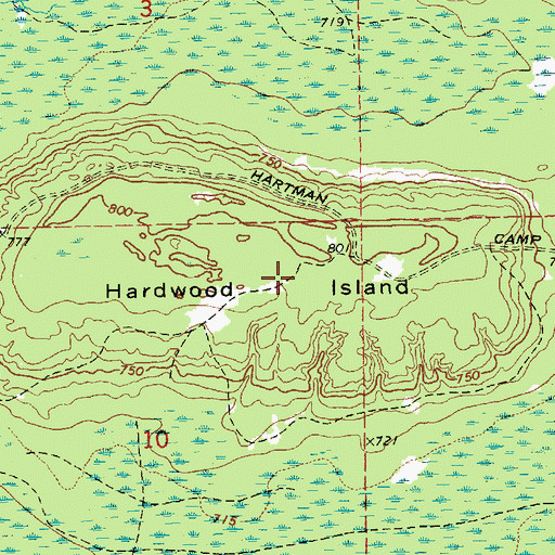 Topographic Map of Hardwood Island, MI