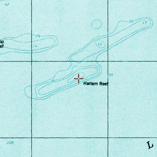 Topographic Map of Harlem Reef, MI