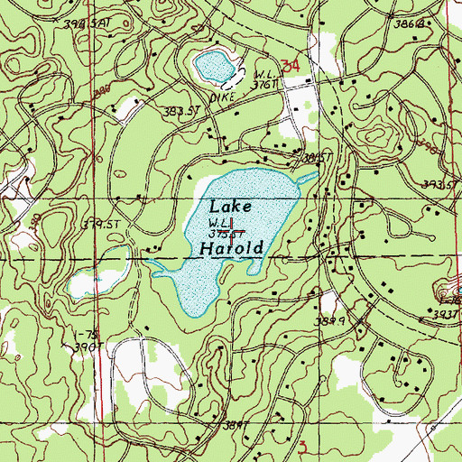 Topographic Map of Lake Harold, MI