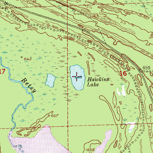 Topographic Map of Hawkins Lake, MI