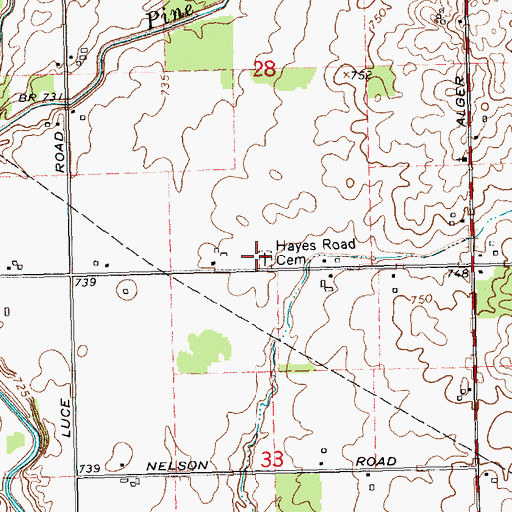 Topographic Map of Hayes Road Cemetery, MI