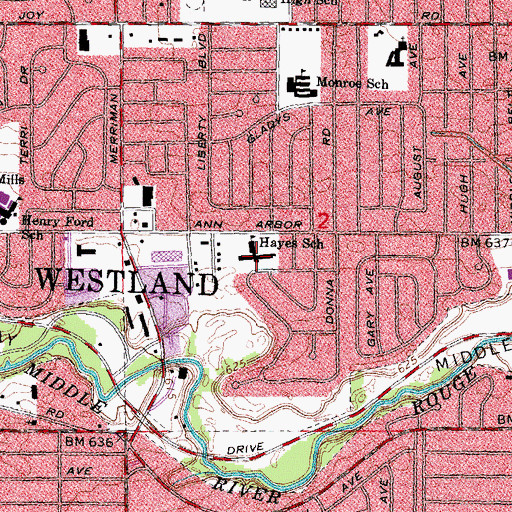 Topographic Map of Hayes School, MI