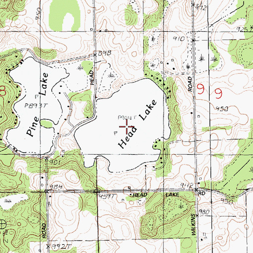 Topographic Map of Head Lake, MI