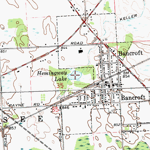 Topographic Map of Hemingway Lake, MI