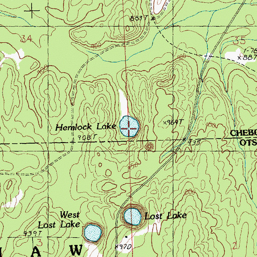 Topographic Map of Hemlock Lake, MI