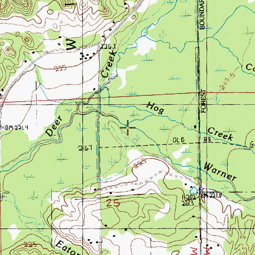 Topographic Map of Hog Creek, MI
