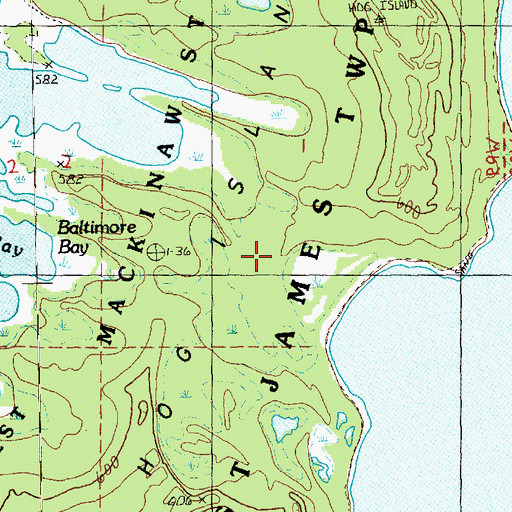Topographic Map of Hog Island, MI
