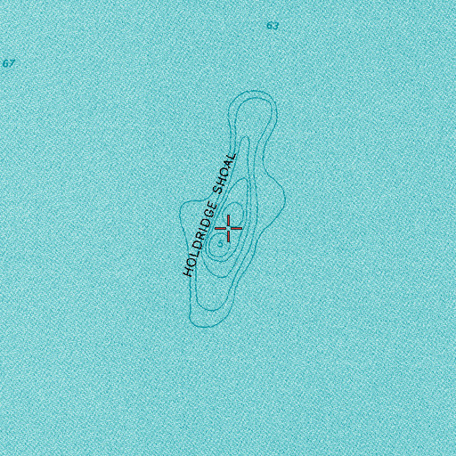 Topographic Map of Holdridge Shoal, MI
