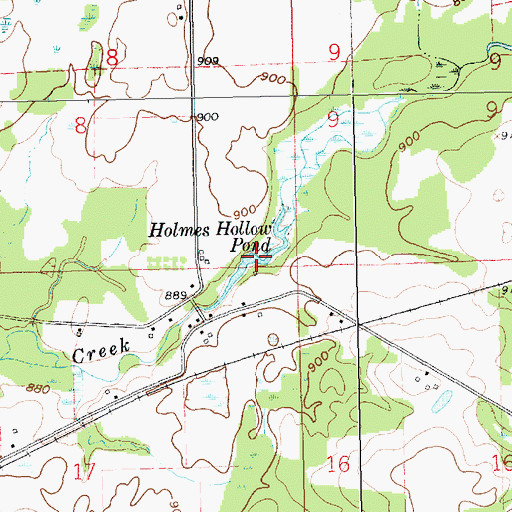 Topographic Map of Holmes Hollow Pond, MI