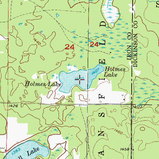 Topographic Map of Holmes Lake, MI