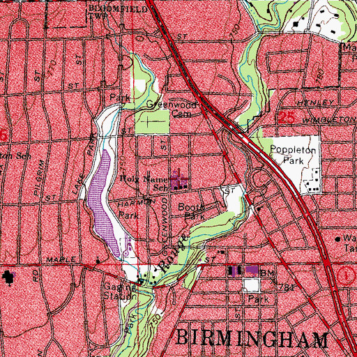Topographic Map of Holy Name School, MI