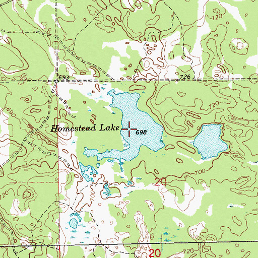 Topographic Map of Homestead Lake, MI