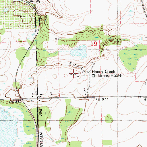 Topographic Map of Honey Creek Childrens Home, MI