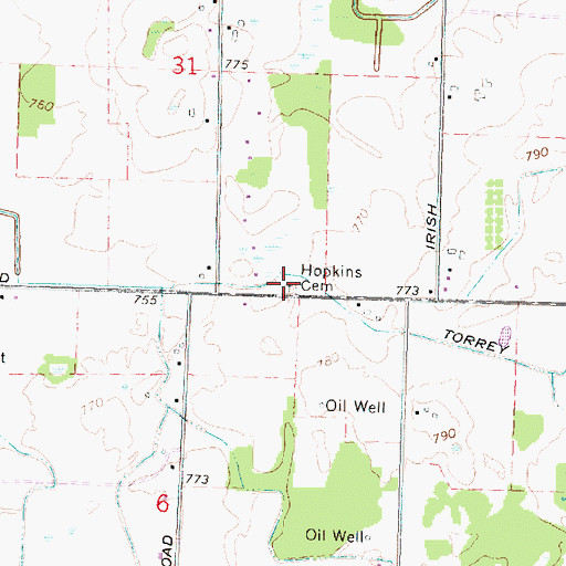 Topographic Map of Hopkins Cemetery, MI