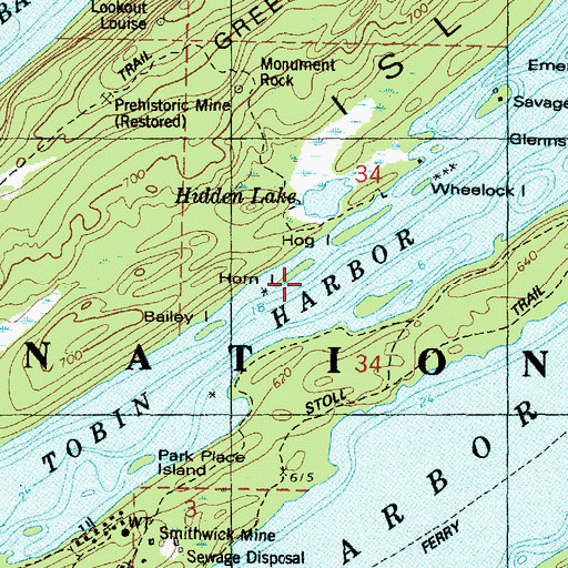 Topographic Map of Horn Island, MI