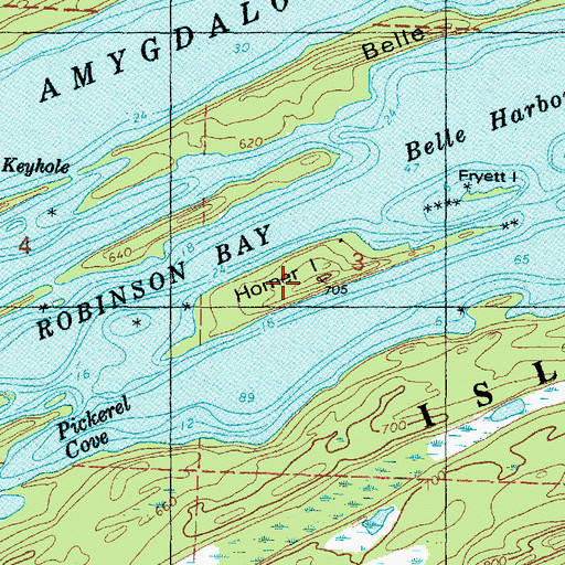 Topographic Map of Horner Island, MI