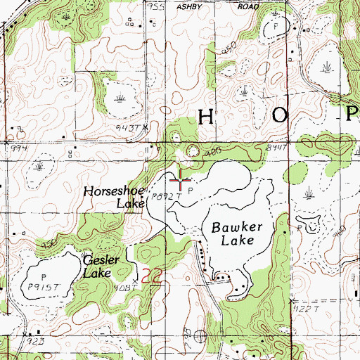 Topographic Map of Horseshoe Lake, MI