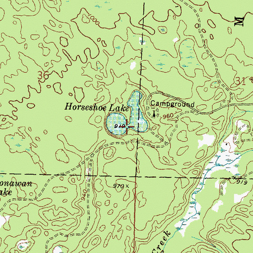 Topographic Map of Horseshoe Lake, MI